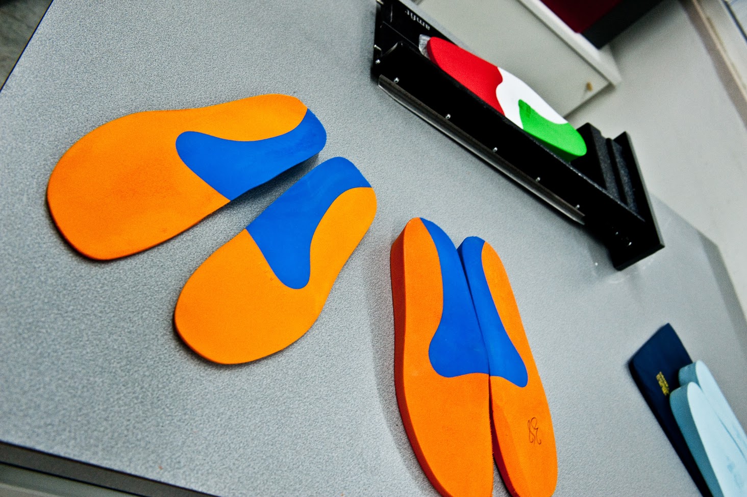 MOV plantari e amfit laboratorio
