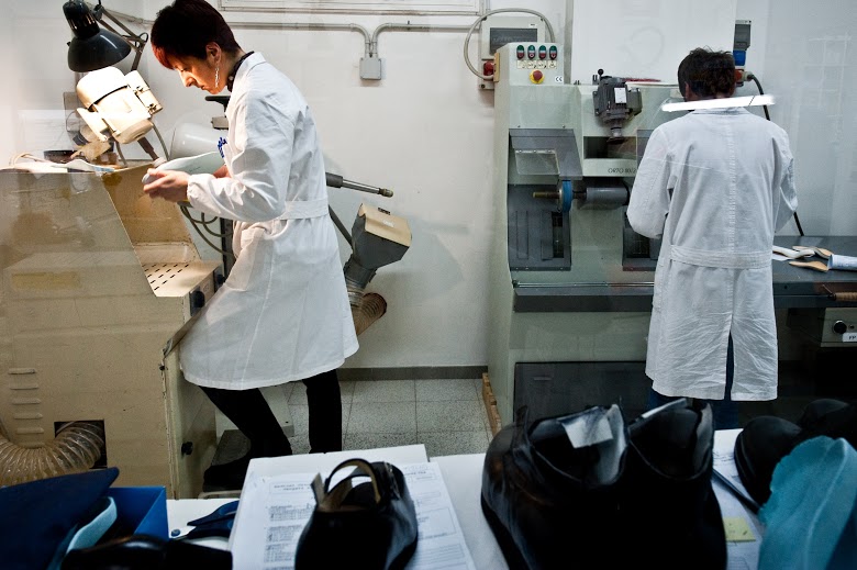 MOV plantari e amfit laboratorio