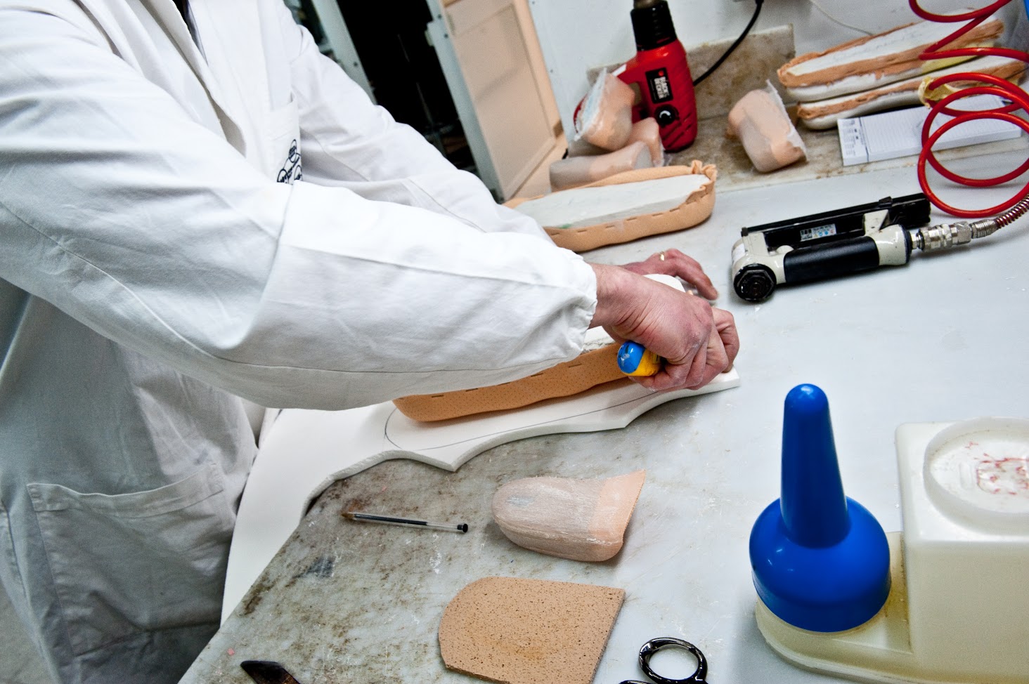 MOV plantari e amfit laboratorio