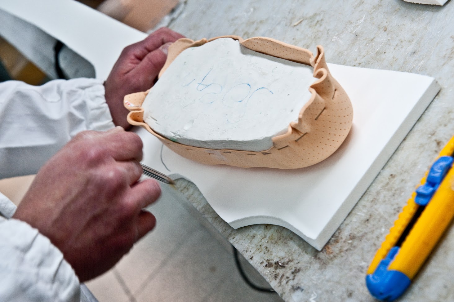 MOV plantari e amfit laboratorio