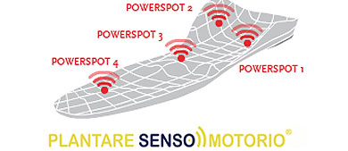 pl sensomotorio